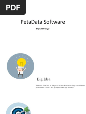 PetaData Digital Strategy