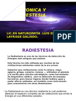 252991493 Radiestesia y Radionica