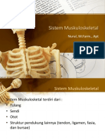 Sistem Skeletal Fix