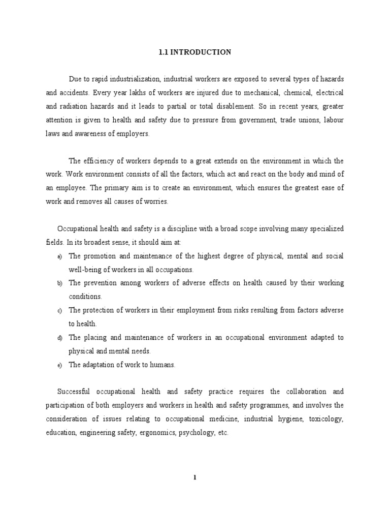 Project Health and Safety Measures of Employee PDF Occupational