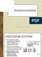 Endocrine System - Lecture