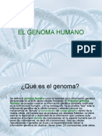 Genomagenomico