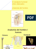 Hombro Anatomia y Lesiones