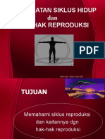 2 Siklus Hidup Dan Elemen Kespro