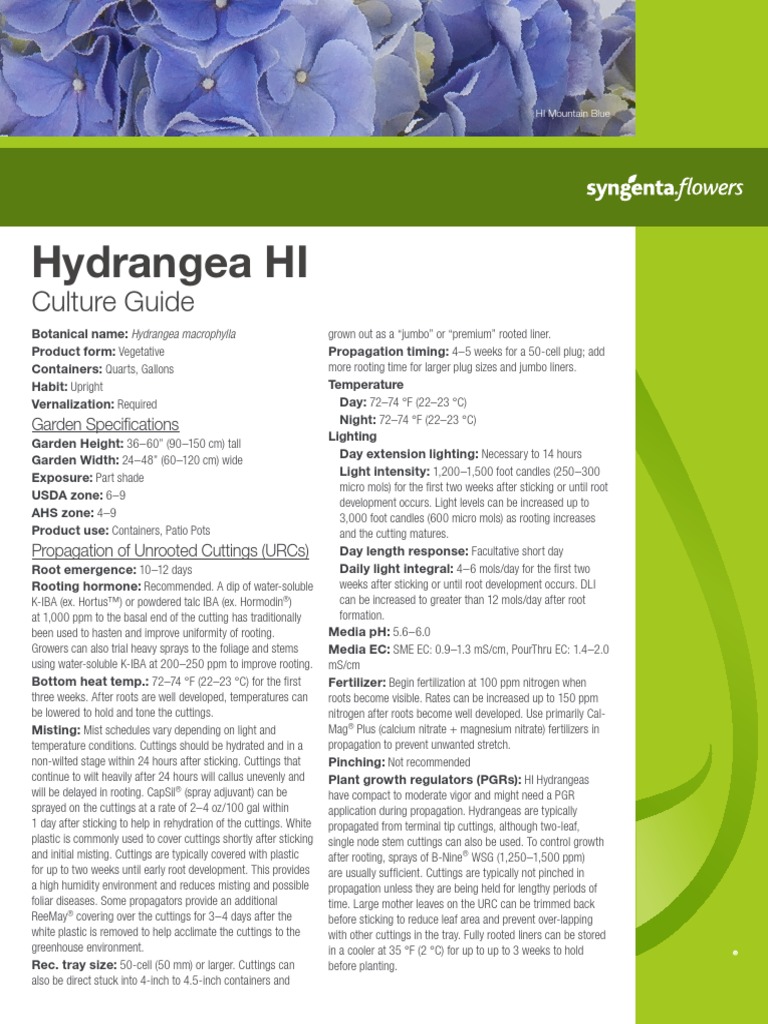 Hydrangea HI: Culture Guide | PDF | Fertilizer | Horticulture And Gardening
