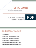 228091993-SINDROM-TALAMIC