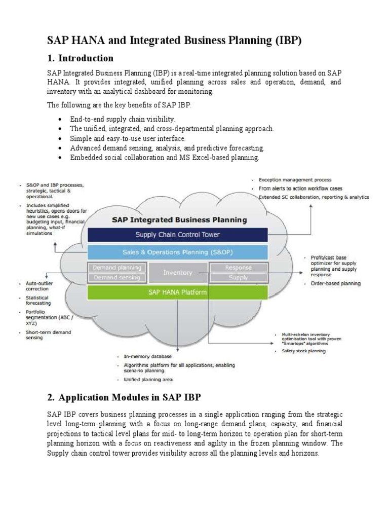 SAP HANA and Integrated Business Planning (IBP) | PDF