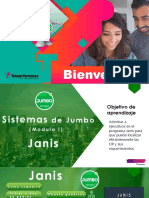 4.1 .-Sistemas de Jumbo (Janis y Vtex) .