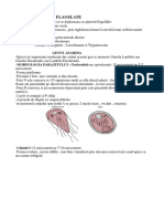 parazitologie lp 2
