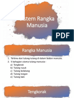 2.1. Sistem Rangka Manusia