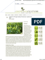 A Review of Forage Soybean Production - Quality and Yield - A Growing Culture