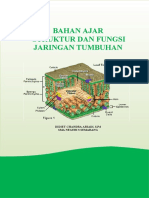 Bahan Ajar Jaringan Tumbuhan