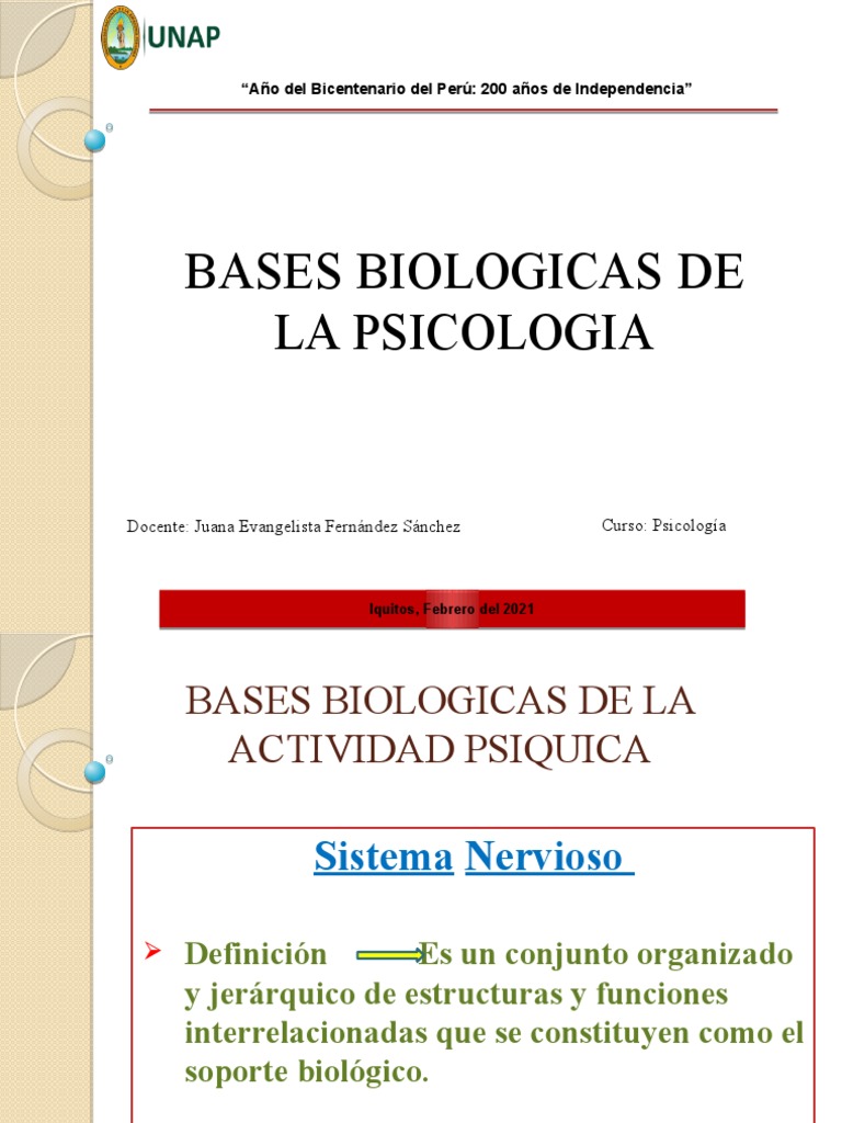 Bases Biológicas de la Psicología | PDF | Hemisferio cerebral | Cerebro