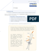 #Ficha de Refuerzo de Ciencia y Tecnologia Semana 31