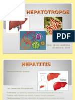Virus Hepatotropos