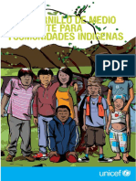 Material de Interes Por Incluir a La Poblacion Indigena, Un Sector Un Importante Socialmente