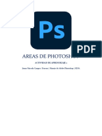 Areas de Photoshop Juana