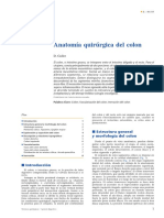 Emc Colon Anatomia