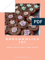 Succuholics 1 0 1: Basic Succulent Care Guide