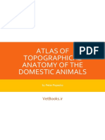 Atlas of Topographical Anatomy of The Domestic Animals