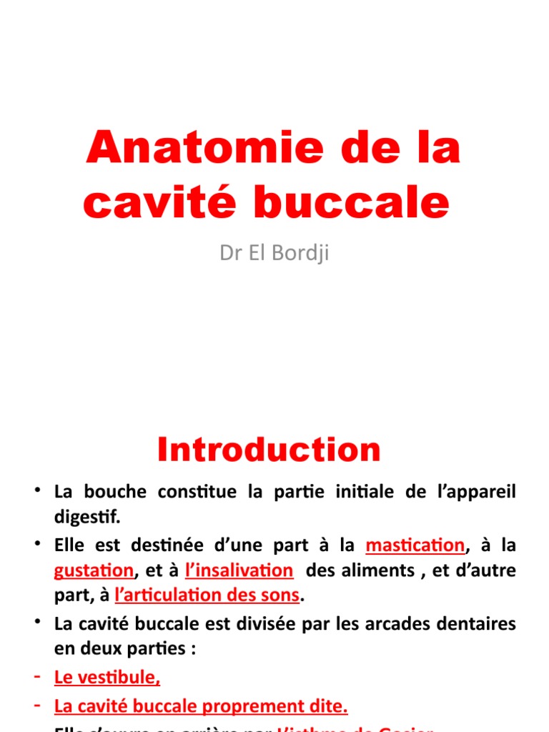 Anatomie de la Cavité Buccale PDF Langue Dent — free download