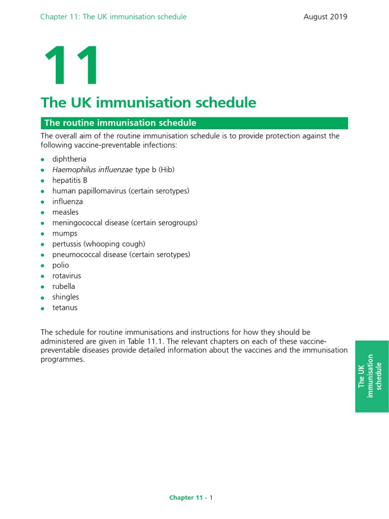 UK Routine Immunisation Schedule Guide | PDF | Vaccines | Influenza