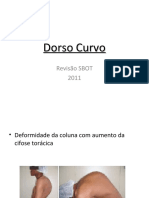 08-Dorso Curvo