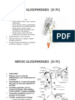 Nervio Glosofaringeo (Ix PC)