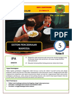 IPA SISTEM PENCERNAN