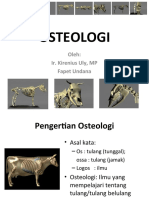 Pengantar Osteologi