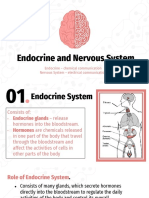 Lesson 2 - Nervous and Endocrine System