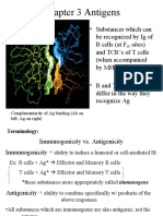 Chapter 3 Antigens