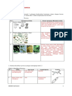 PROTISTA UKBM 1 Dan 2