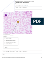 PAL: Histology Connective Tissue Quiz Question 1