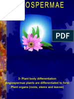 Plant Growth & Differentiation