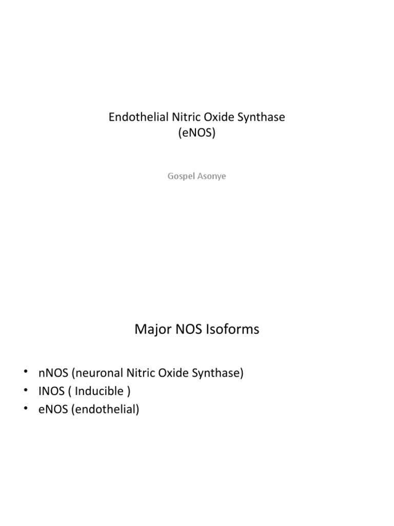Endothelial Nitric Oxide Synthase (eNOS) : Gospel Asonye | PDF
