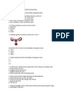 Sistem Reproduksi 1