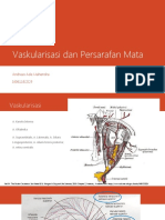 Vaskularisasi Dan Persarafan Mata