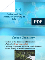 04 - Carbon Chemistry Text