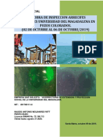 Informe Pericial Arrecife Artificial Universidad Del Magdalena Final