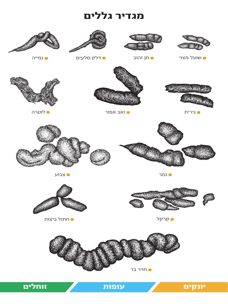 Droppings Guide Page - V007 Digital0 | PDF