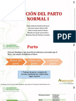 Parto normal: motor, contracciones uterinas y monitorización