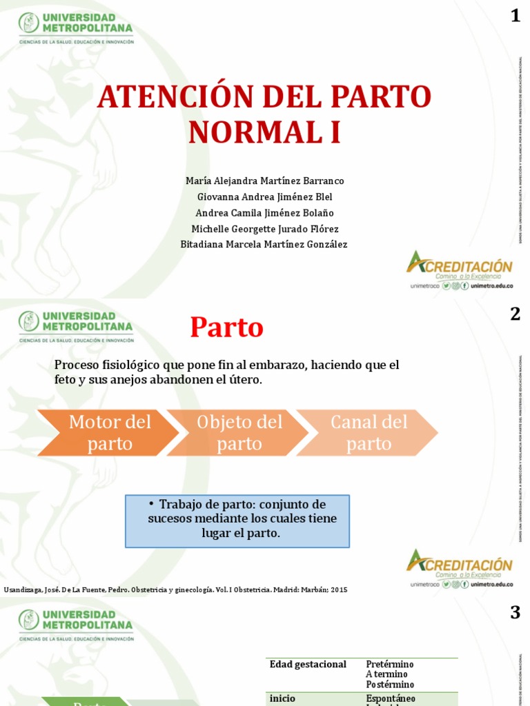 Atencion Del Parto Normal I | PDF | Pelvis | Parto