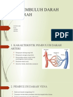 Anfis Pembuluh Darah&Darah Kel 1 pt2