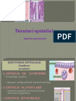 Curs 2 Nutritie-tesuturile epiteliale, epitelii glandulare