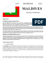 Maldives National Defence Force