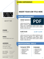 Template CV01