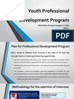 Youth Professional Development Program: Balochistan Energy Company Limited (BECL) 2020-21