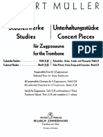 Technical Studies R. Muller (1)