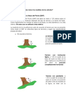 Cómo Tomar Las Medidas de Los Arboles